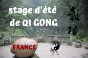 Stage d'été de QI GONG 2025 en FRANCE
