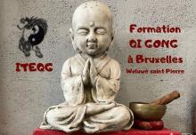 Formation en Qi Gong traditionnel à Bruxelles - Rentrée les 31 octobre et 1er novembre 2026